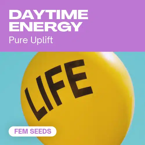 Daytime Energy Seeds