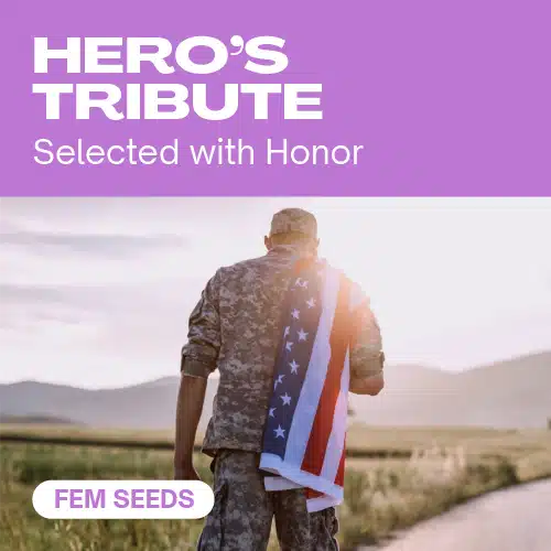 Hero’s Tribute Seeds