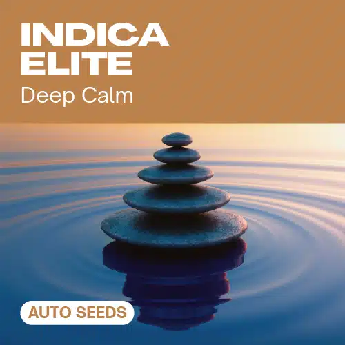 Indica Elite Auto Seeds