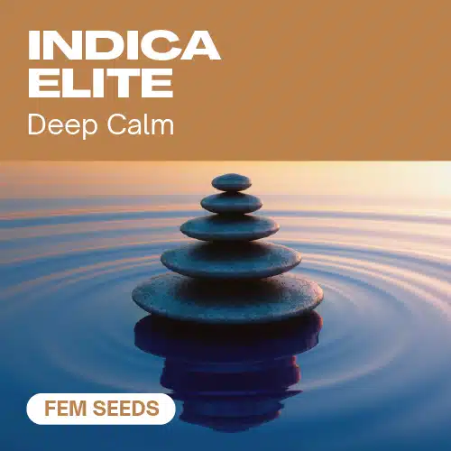 Indica Elite Fem Seeds