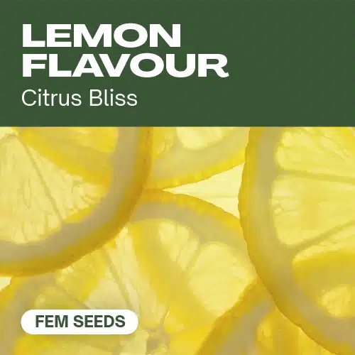 Lemon Flavour Seeds