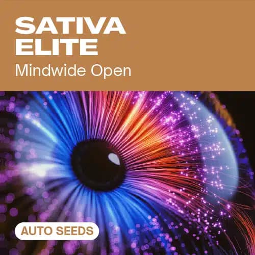 Sativa Elite Auto Seeds
