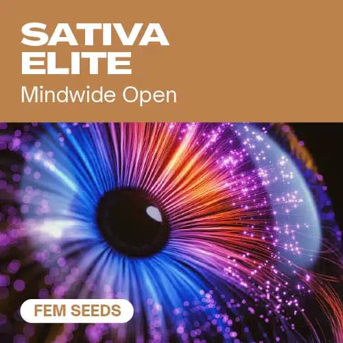 Sativa Elite Fem Seeds