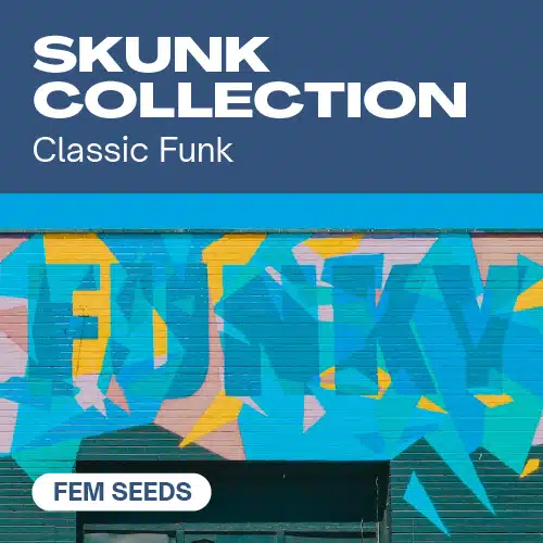 Skunk Collection Seeds