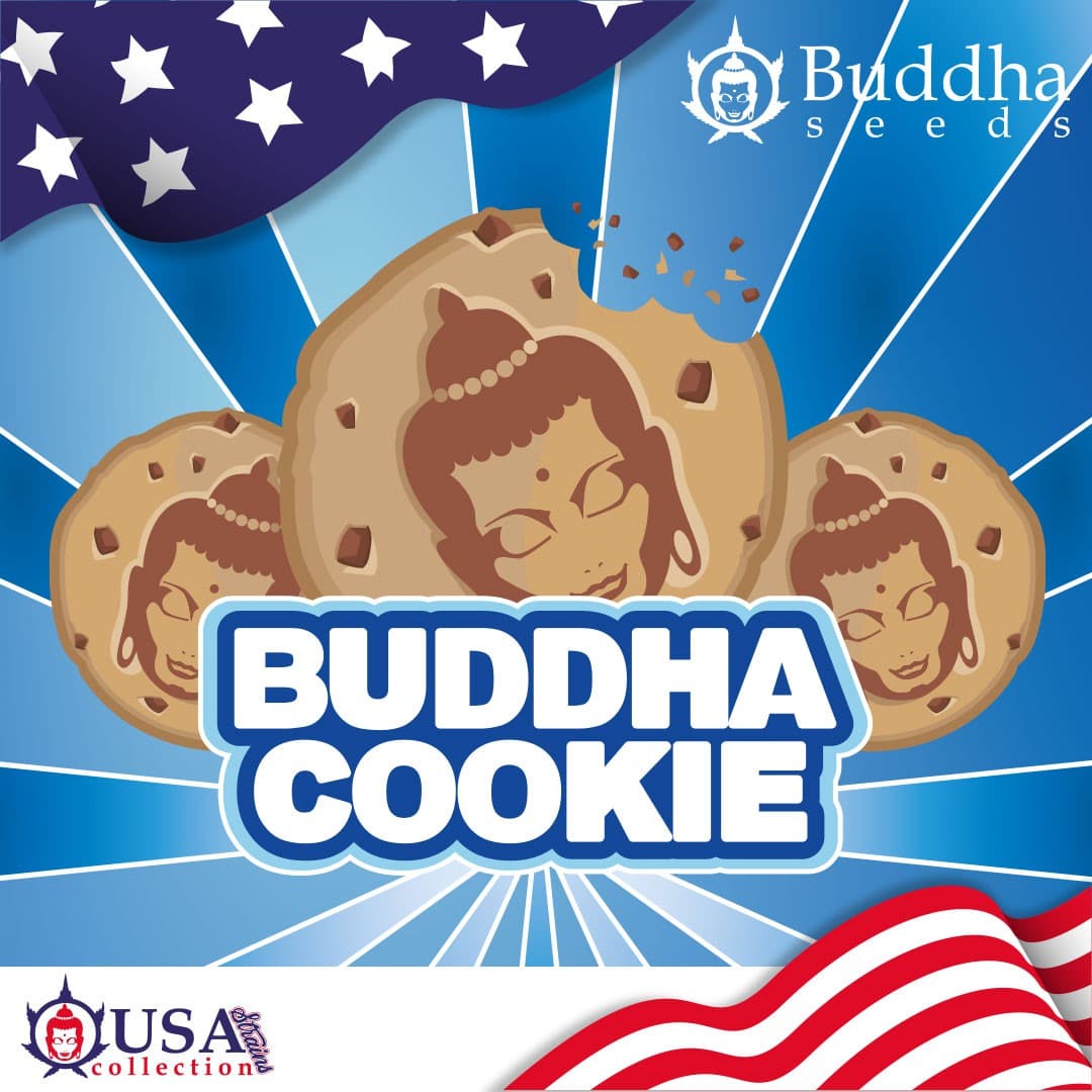 Buddha Cookie Seeds