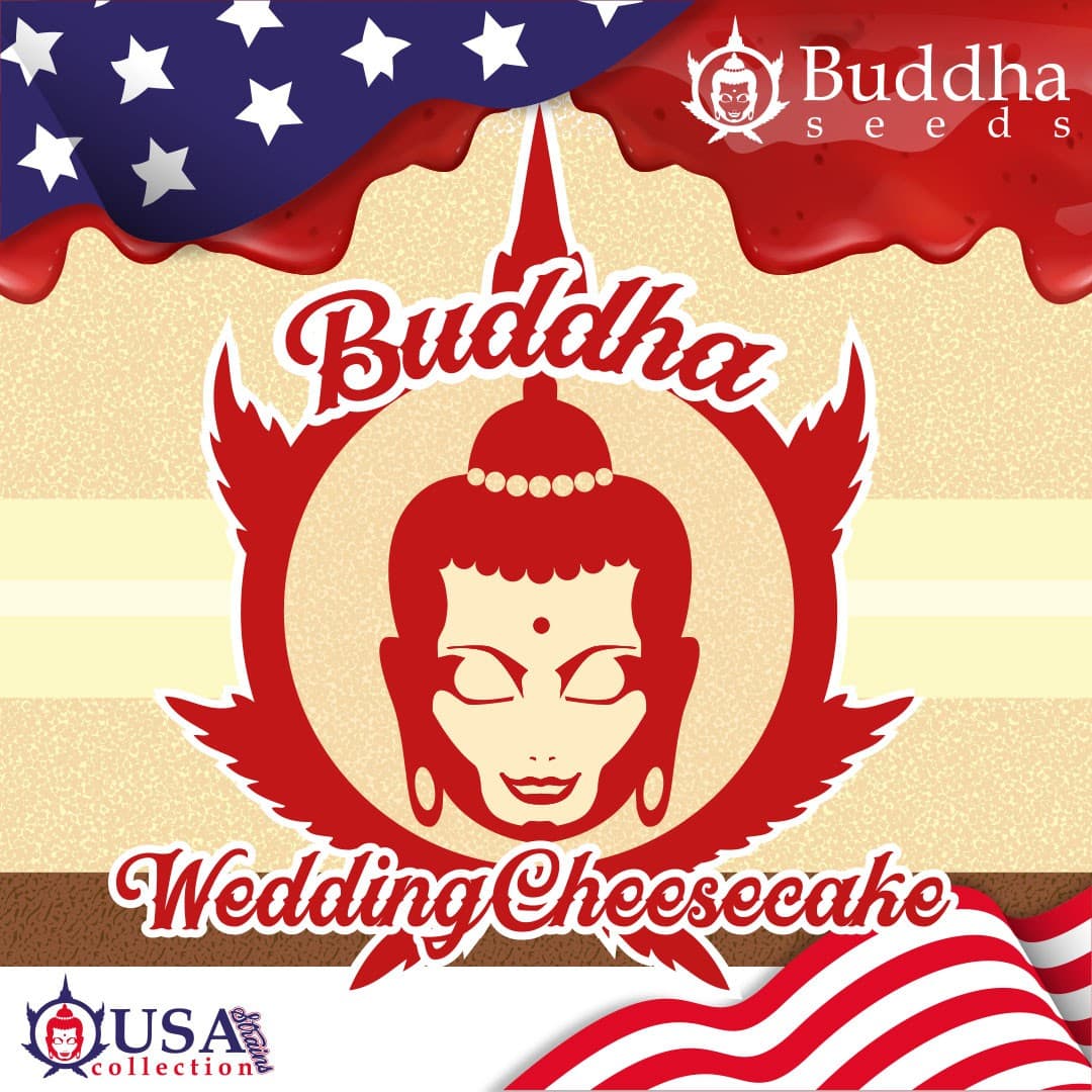Buddha Wedding Cheesecake Seeds
