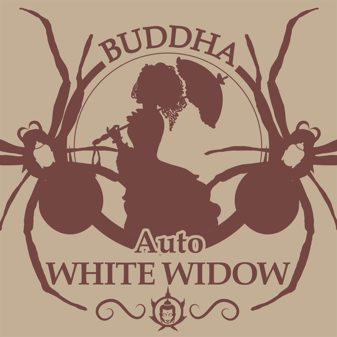 Buddha Auto White Widow Seeds