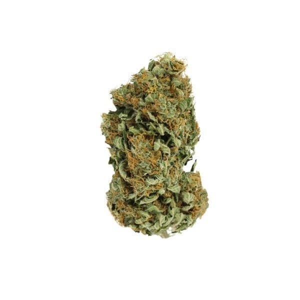 SFV OG Seeds