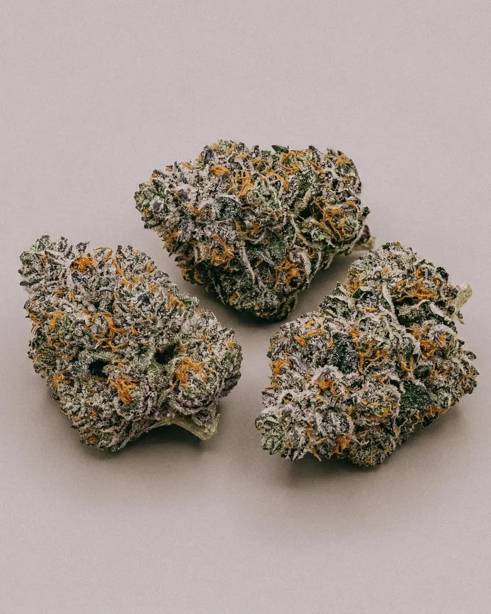 Gelato Seeds