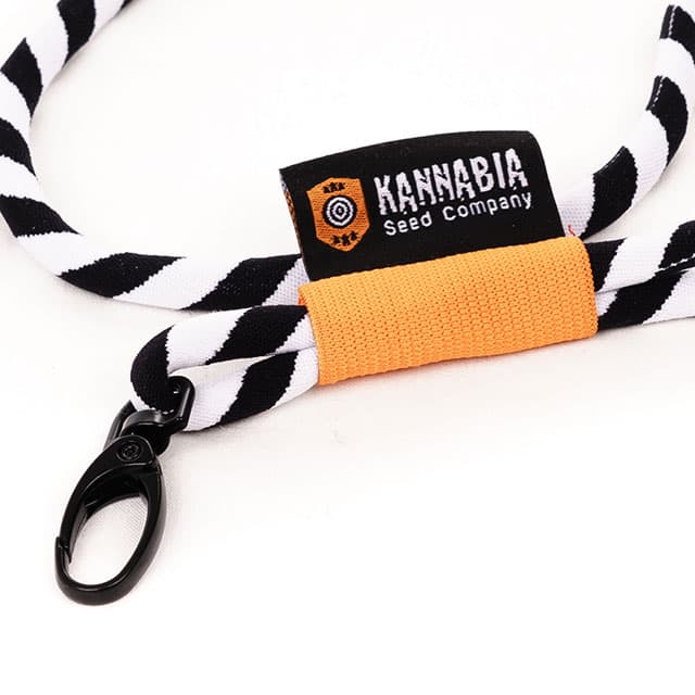 Lanyard Seeds
