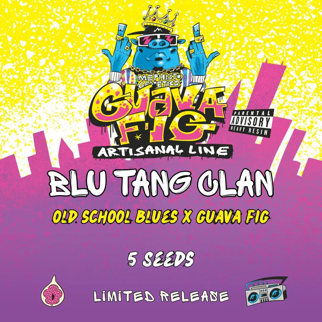 Blu Tang Clan Auto Seeds