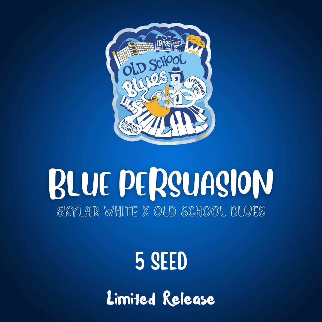 Blue Persuasion Auto Seeds