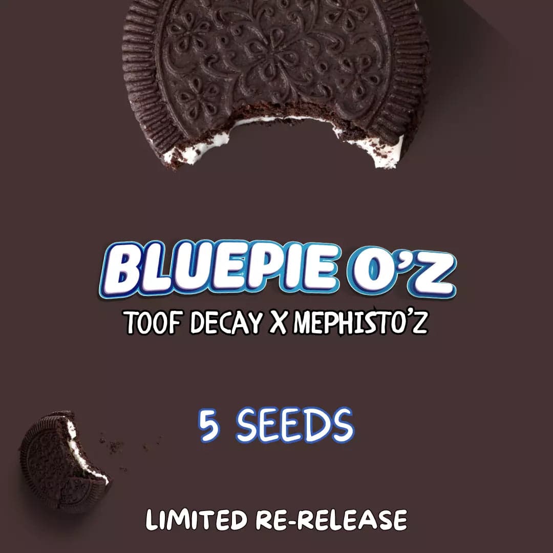 Blue Pie O'z Auto Seeds