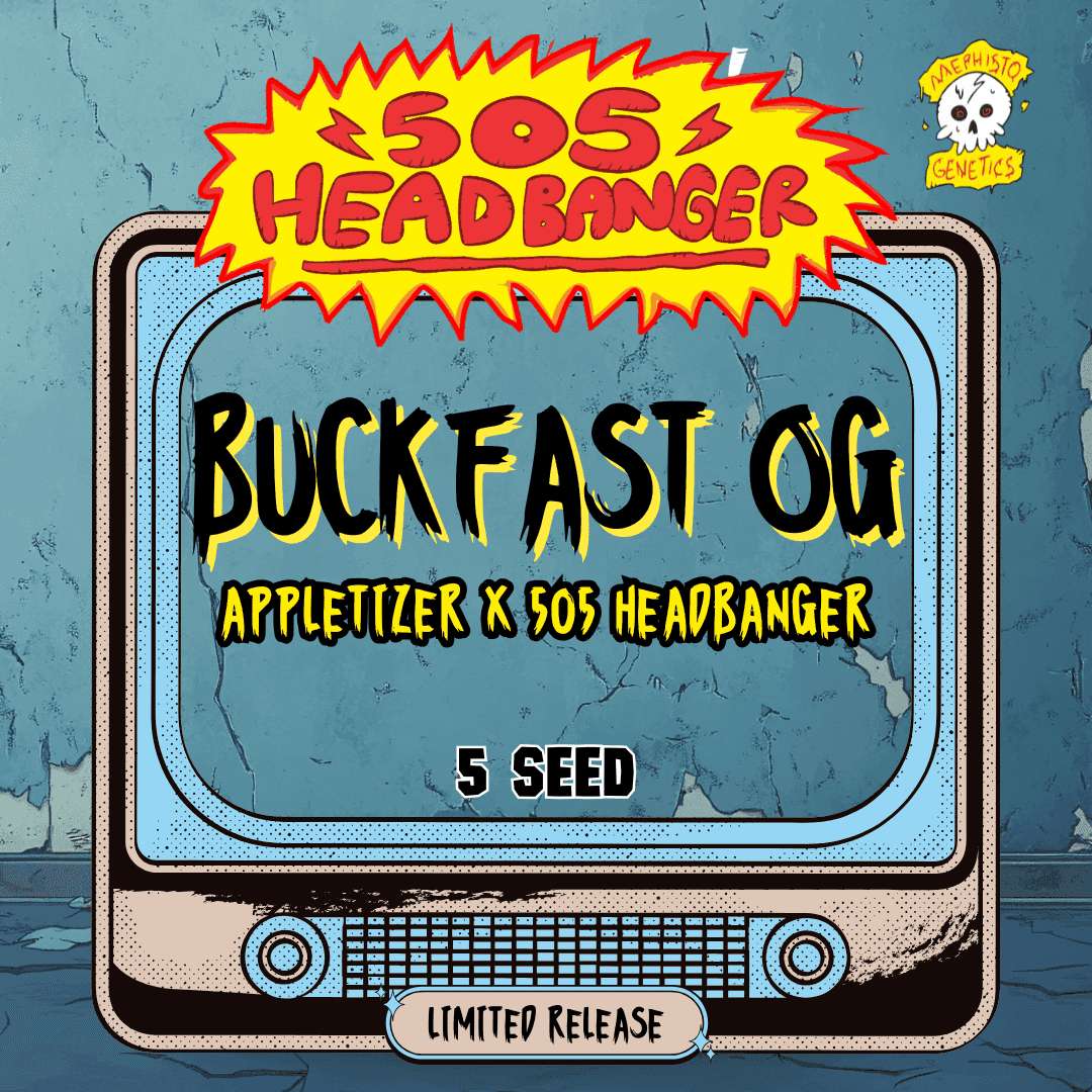 Buckfast OG Auto Seeds