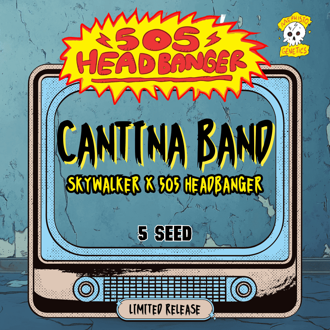Cantina Band Auto Seeds