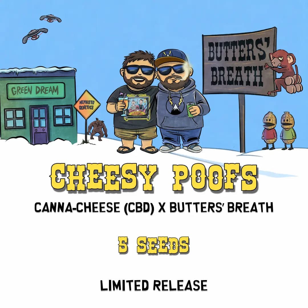 Cheesy Poofs Auto Seeds