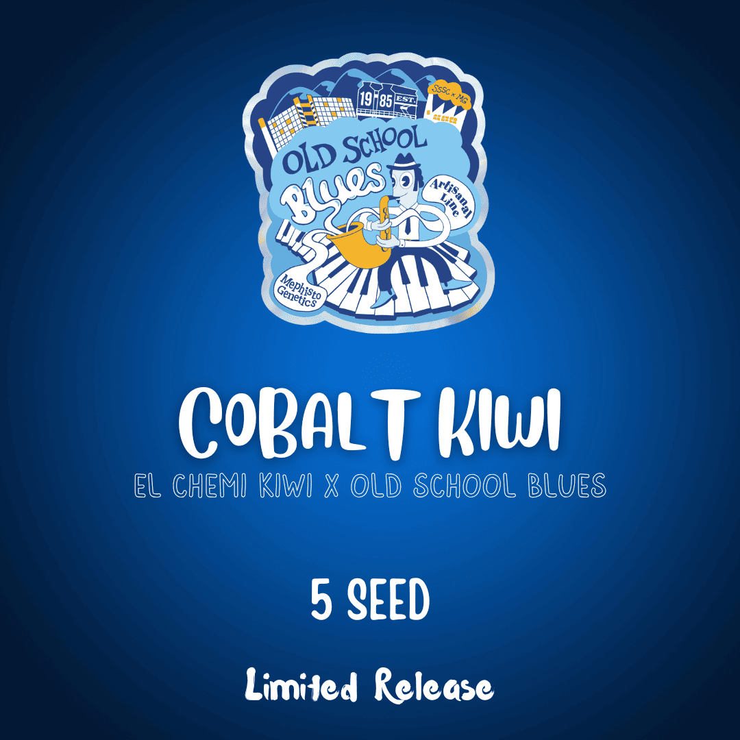 Cobalt Kiwi Auto Seeds