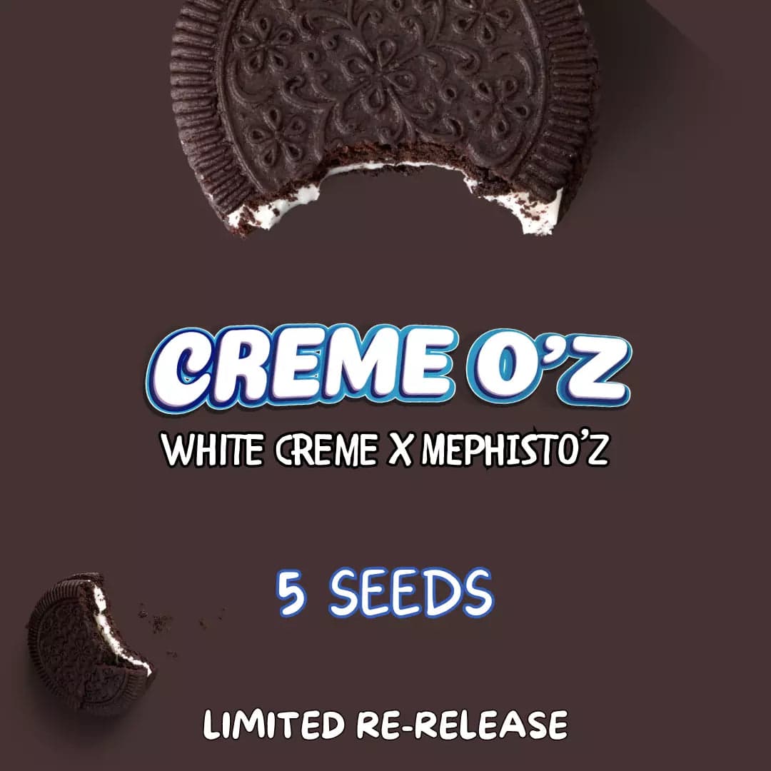 Creme O'z Auto Seeds