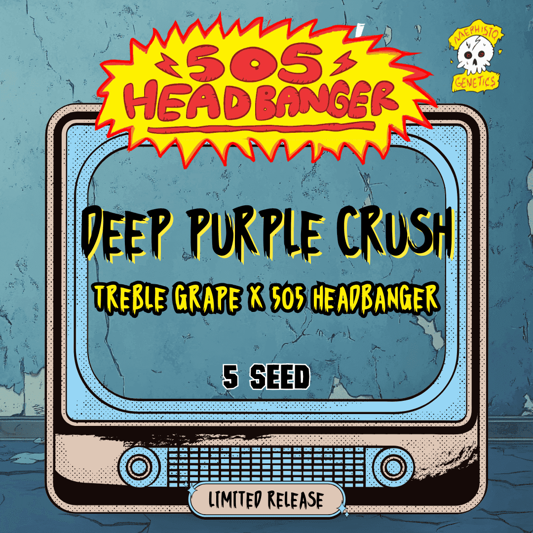 Deep Purple Crush Auto Seeds