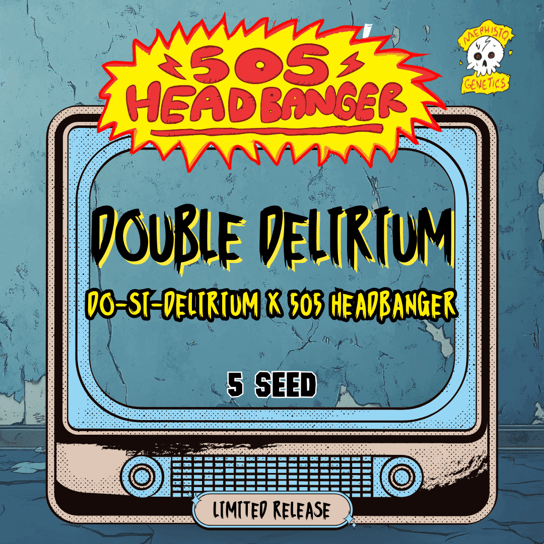 Double Delirium Auto Seeds