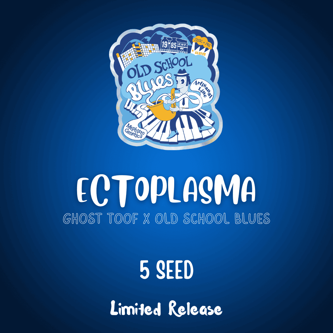 Ectoplasma Auto Seeds