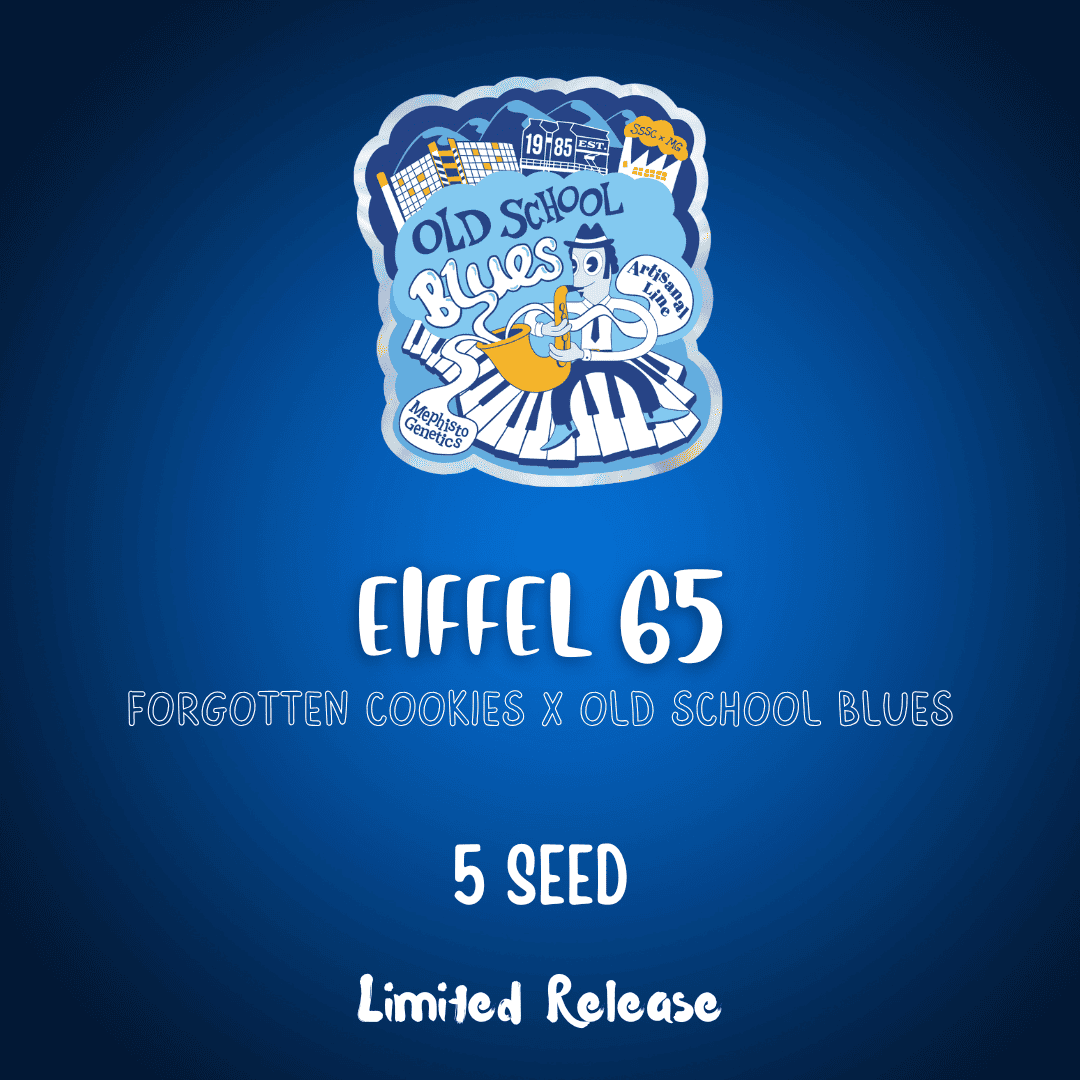 Eiffel 65 Auto Seeds