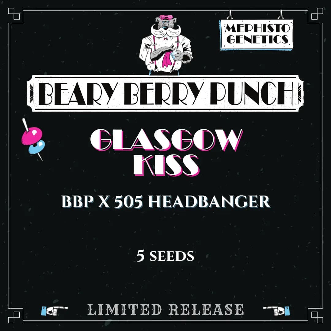 Glasgow Kiss Auto Seeds