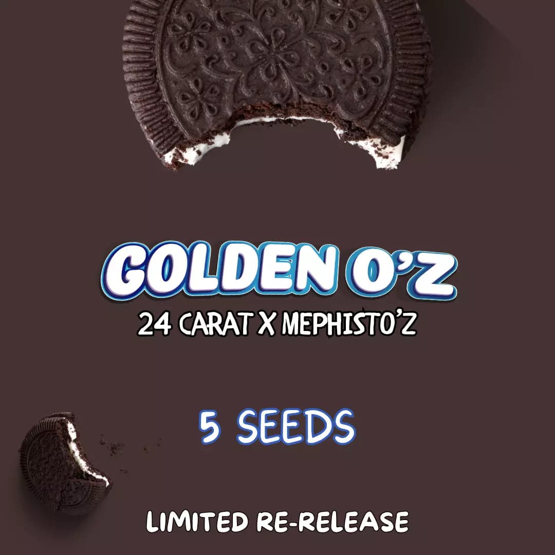 Golden O'z Auto Seeds
