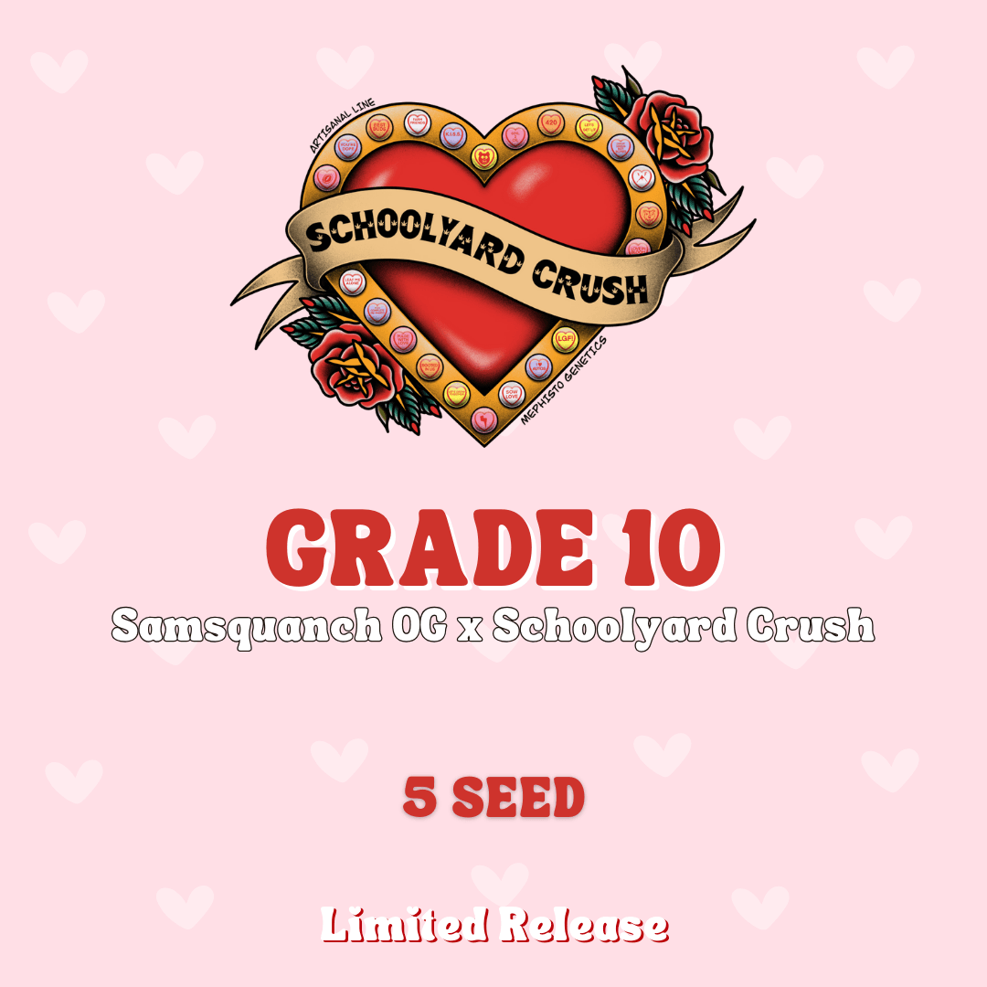 Grade 10 Auto Seeds