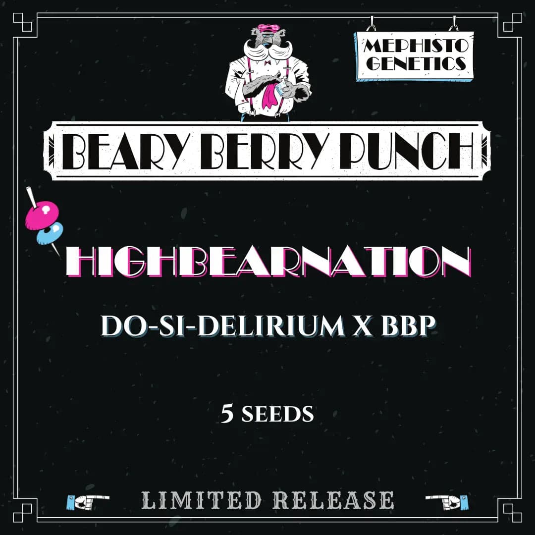 Highbearnation Auto Seeds