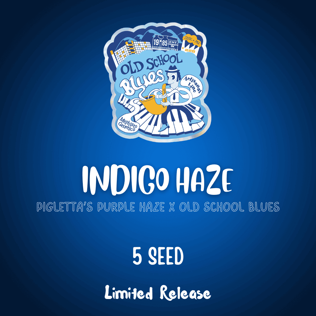 Indigo Haze Auto Seeds