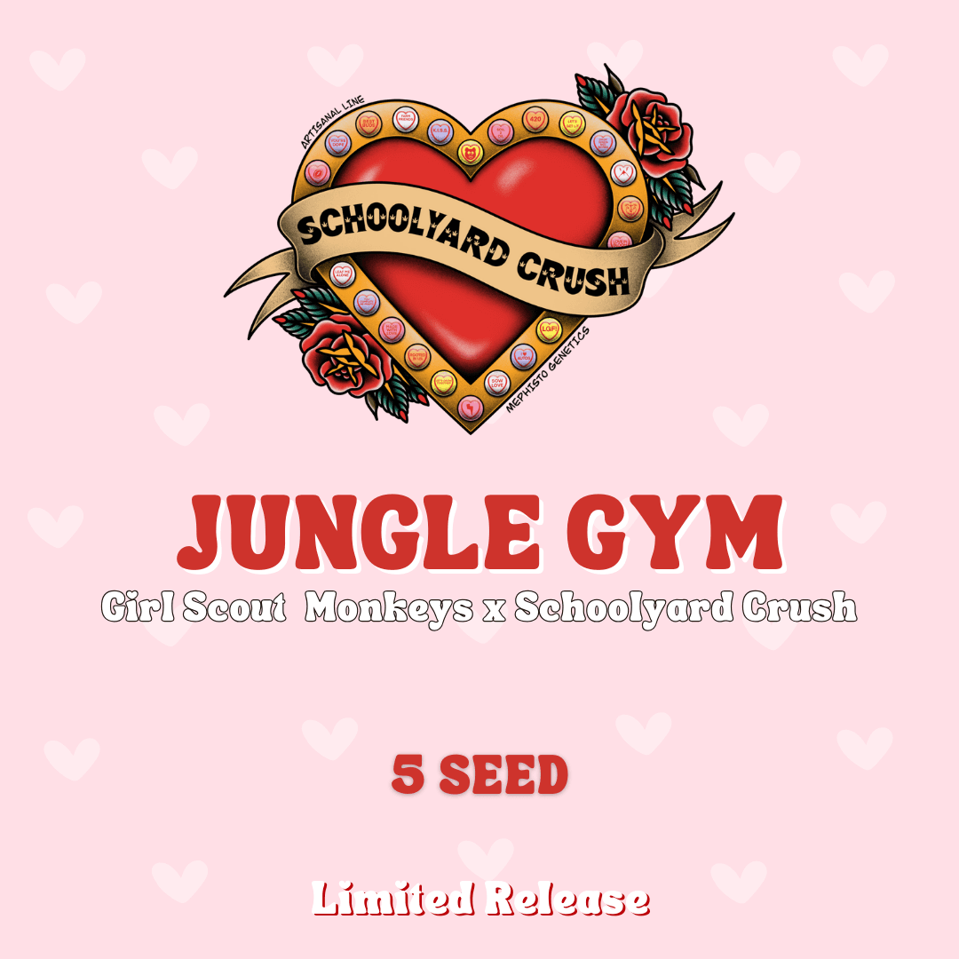 Jungle Gym Auto Seeds