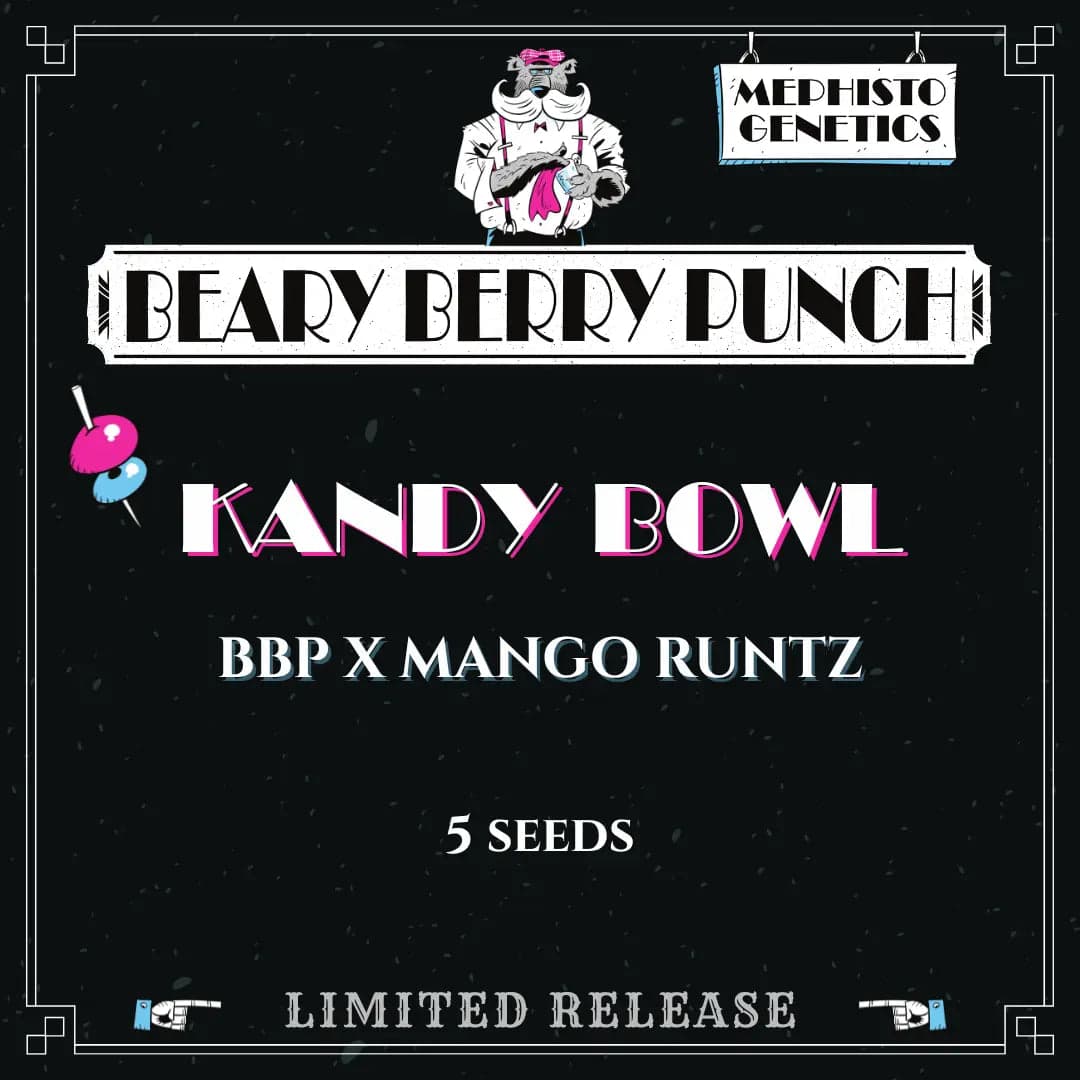 Kandy Bowl Auto Seeds