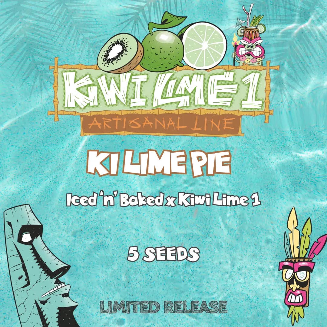 Ki Lime Pie Auto Seeds