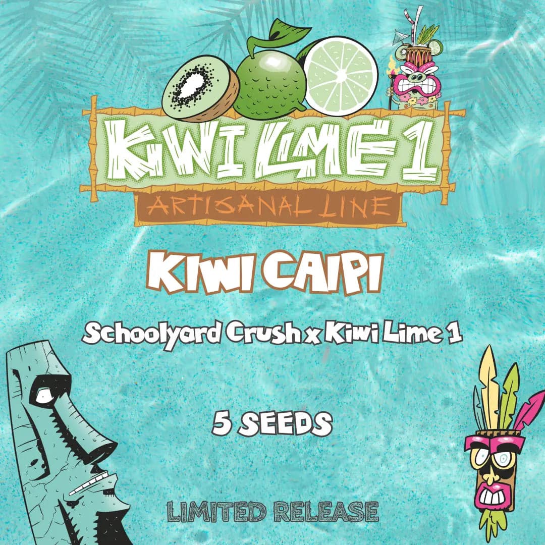 Kiwi Caipi Auto Seeds