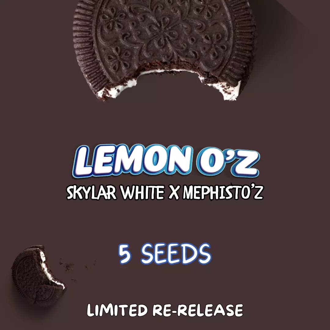 Lemon O'z Auto Seeds