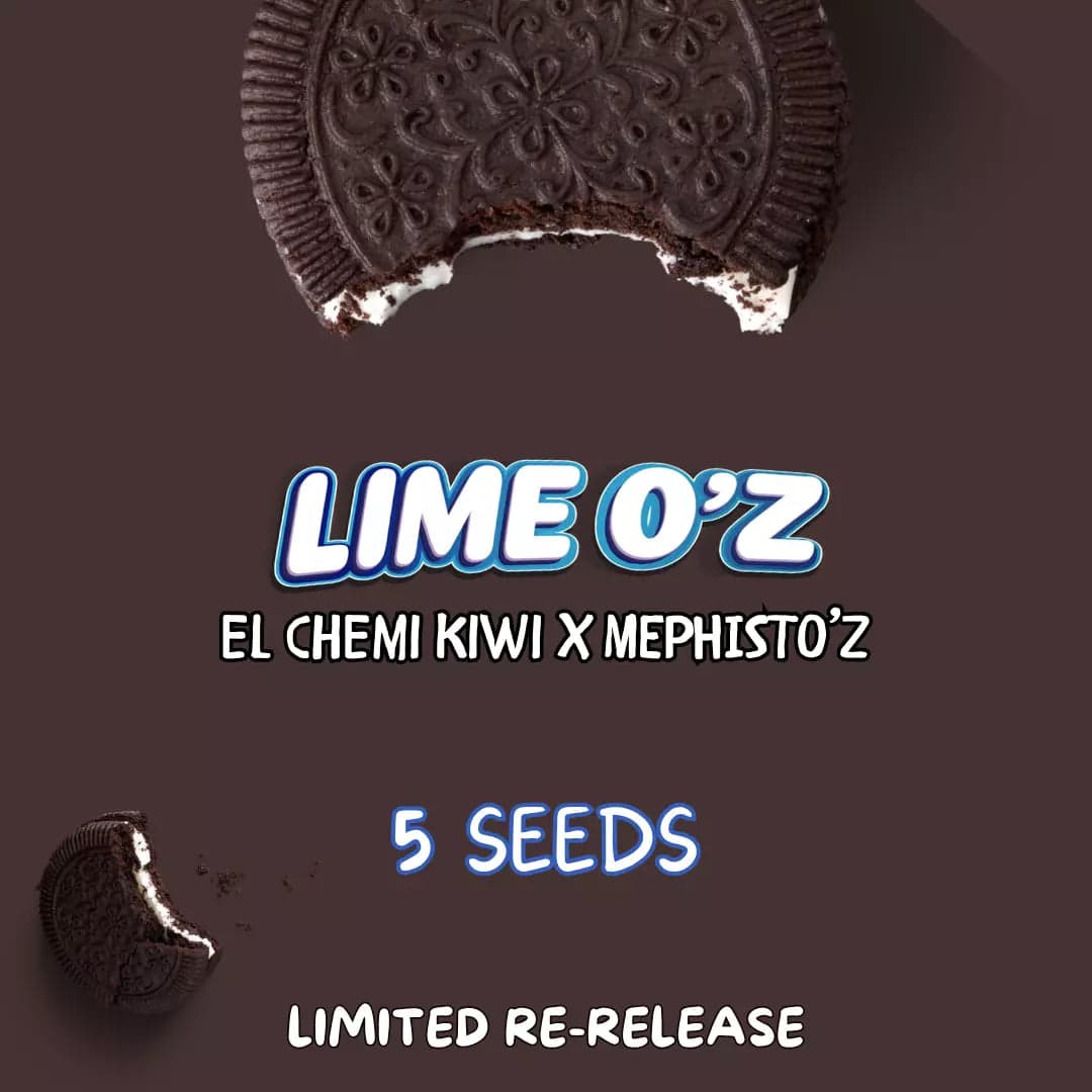 Lime O'z Auto Seeds