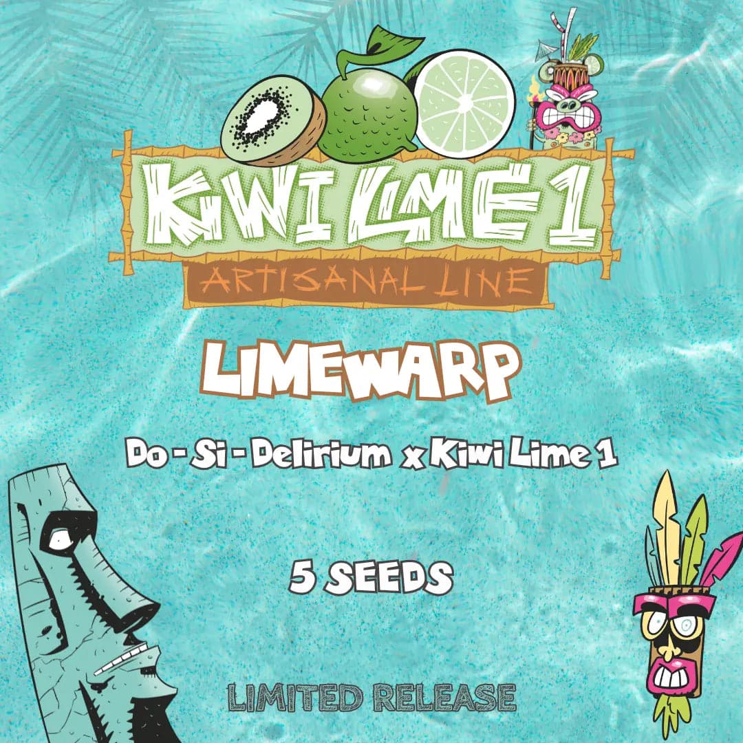 Limewarp Auto Seeds