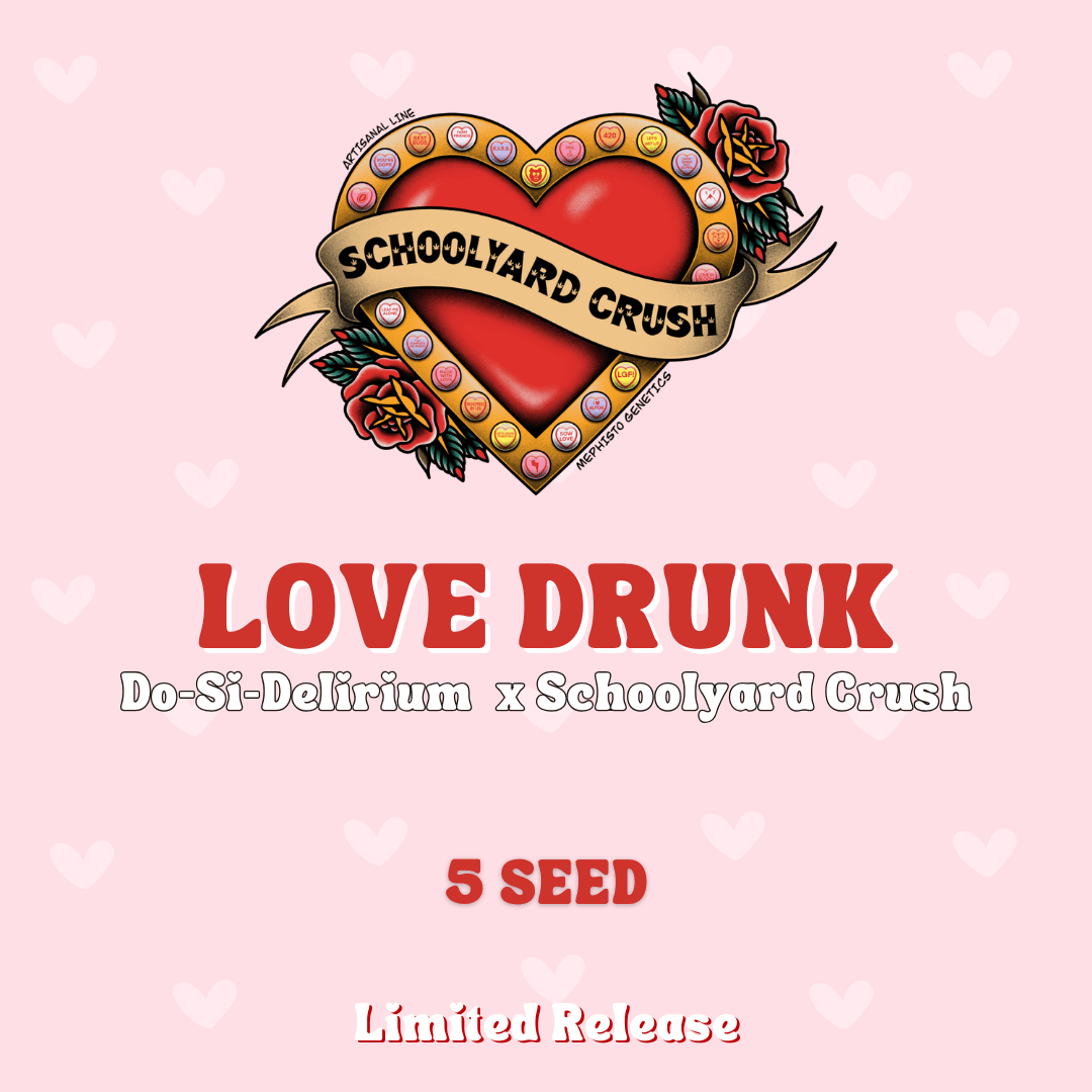 Love Drunk Auto Seeds