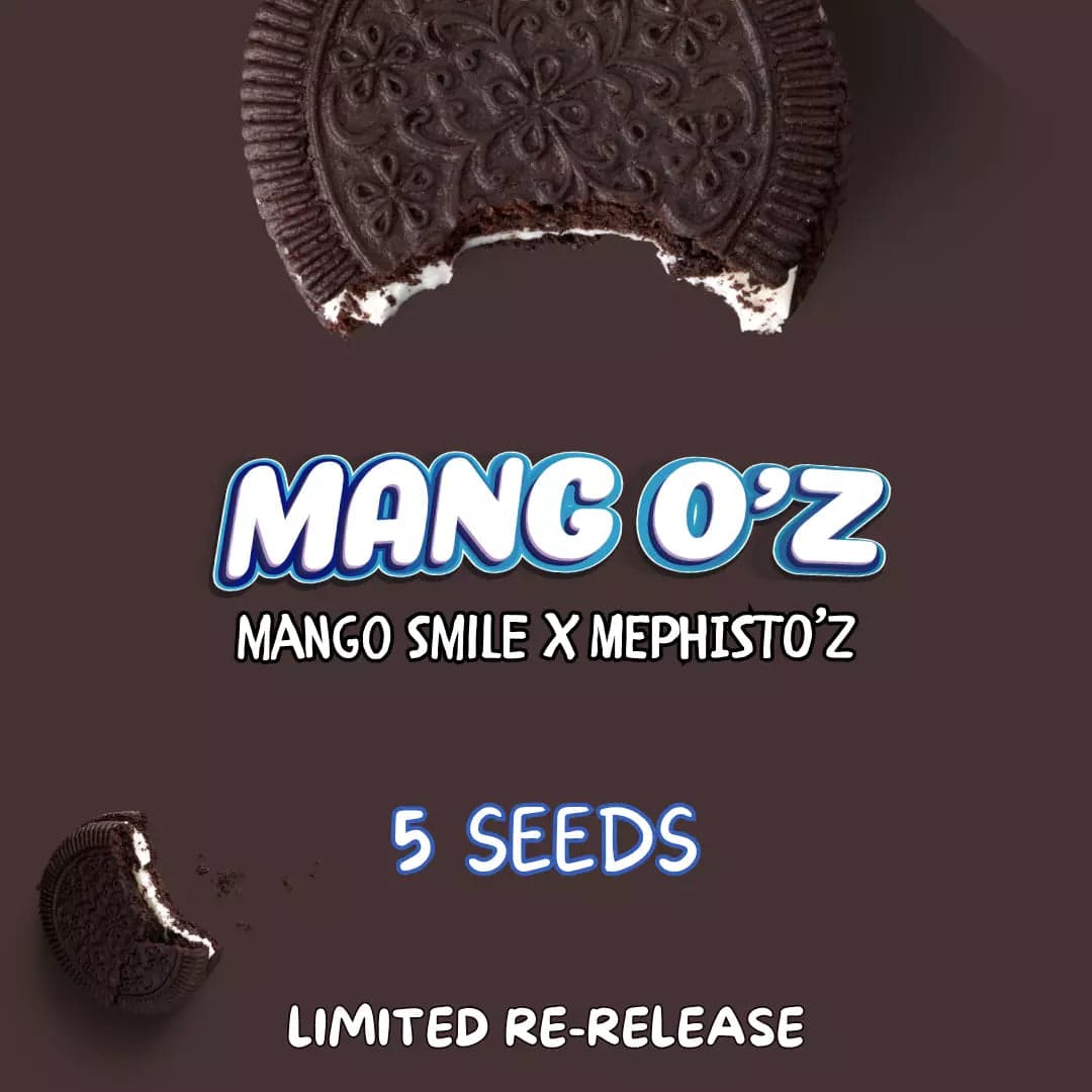 Mang O'z Auto Seeds