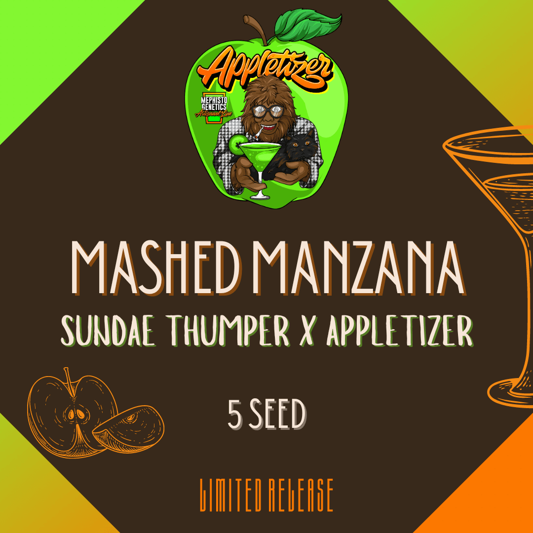 Mashed Manzana Auto Seeds