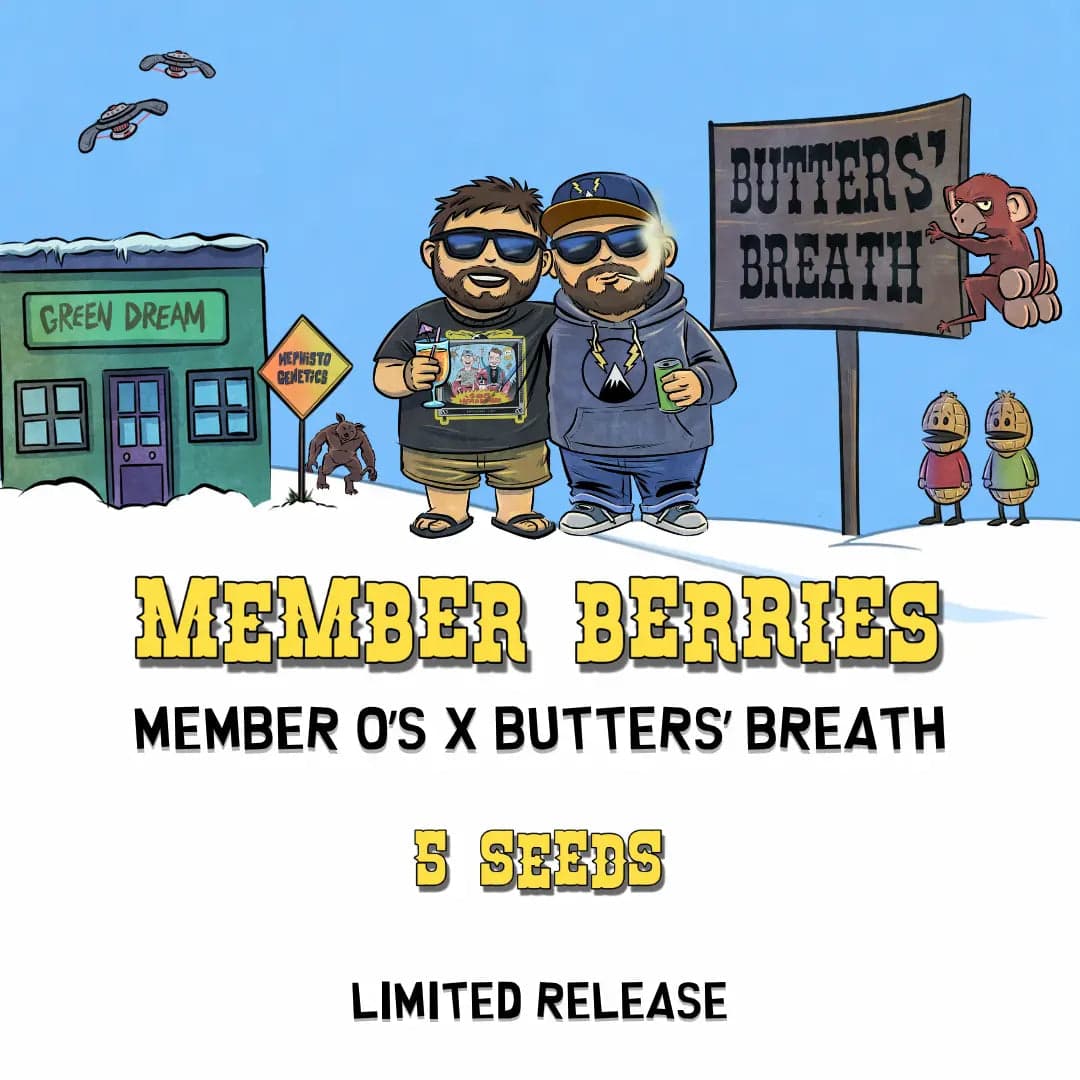 Member Berries Auto Seeds