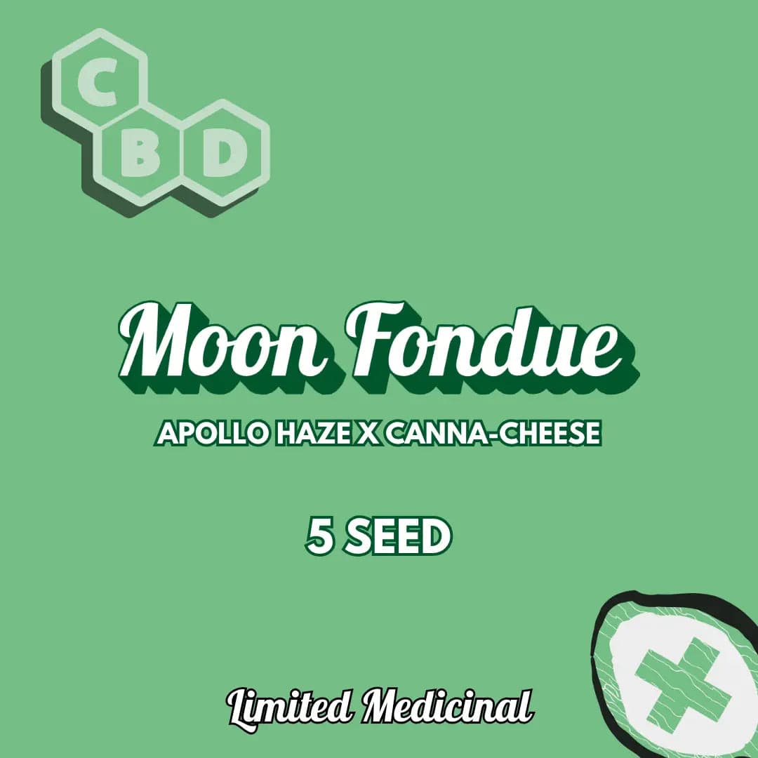Moon Fondue Auto Seeds