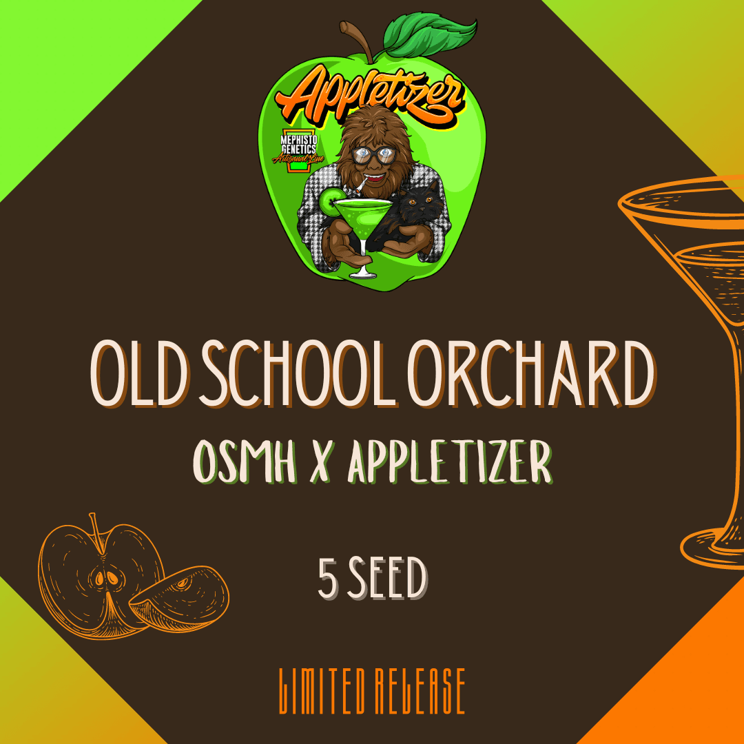 Old School Orchard Auto Seeds
