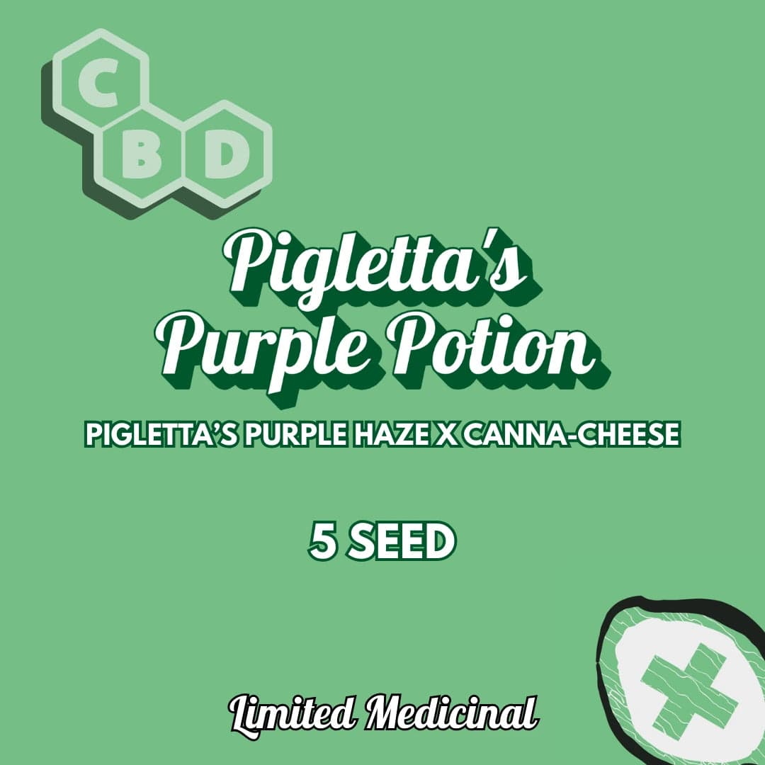 Pigletta's Purple Potion Auto Seeds