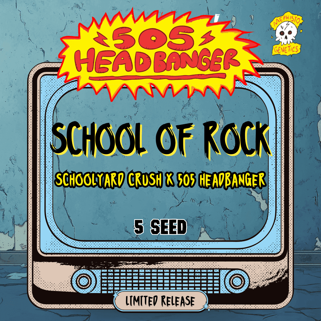 School of Rock Auto Seeds