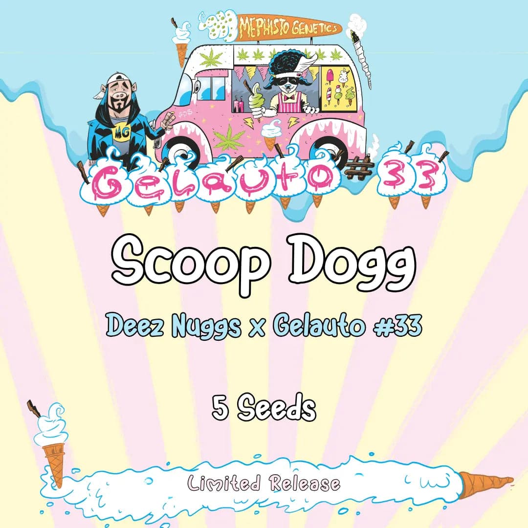 Scoop Dogg Auto Seeds