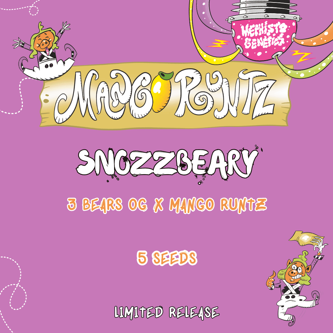 Snozzbeary Auto Seeds