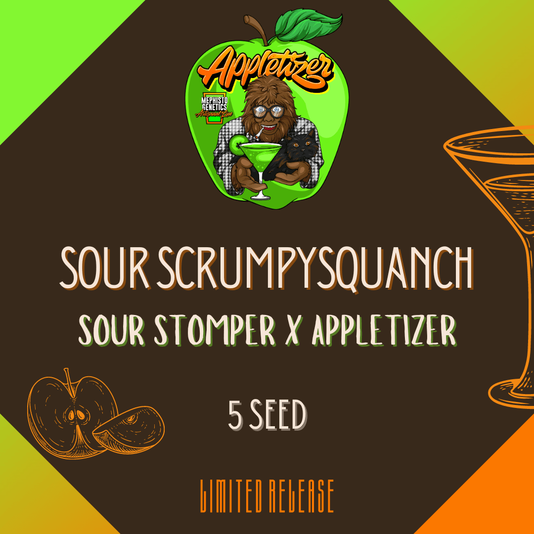 Sour Scrumpysquanch Auto Seeds