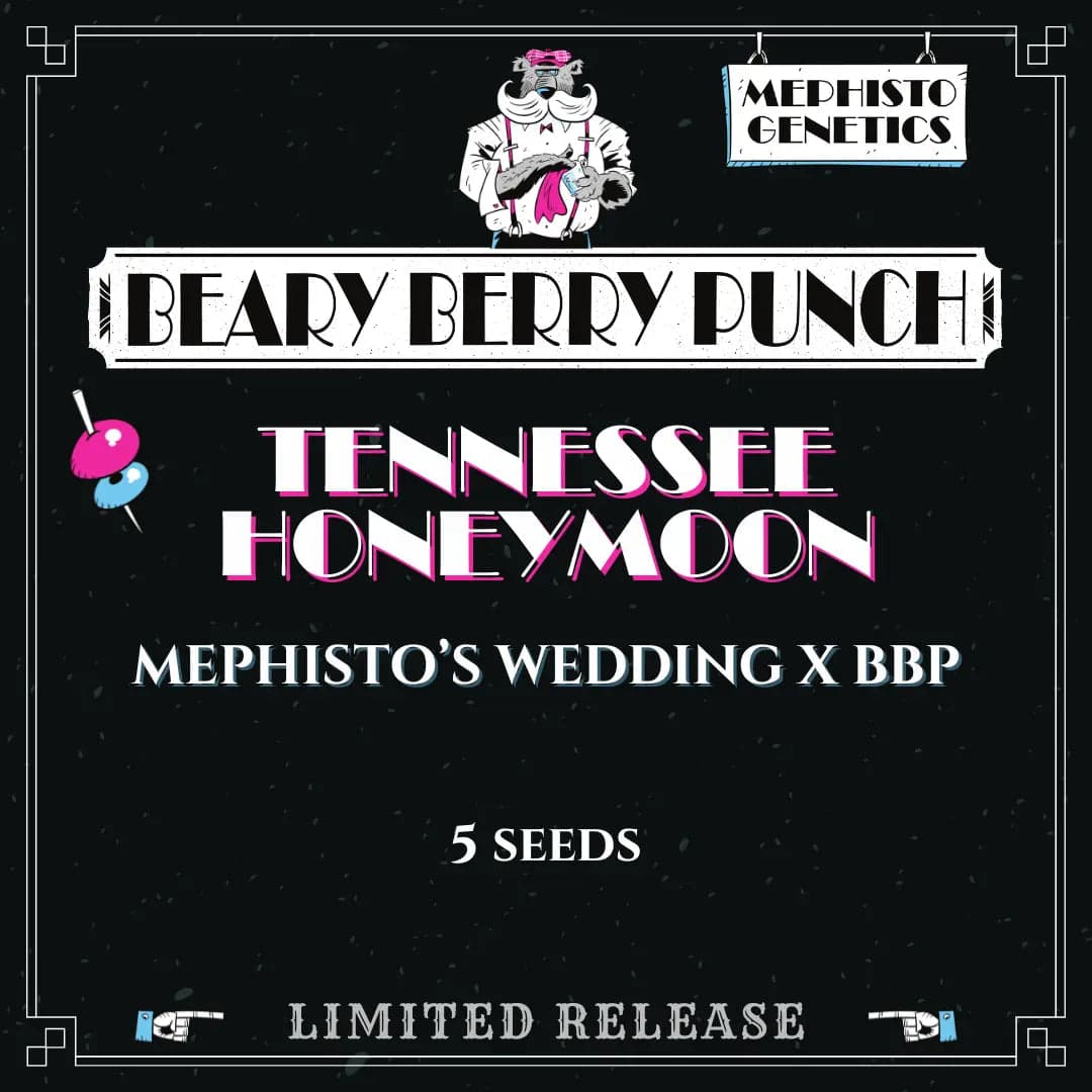 Tennessee Honeymoon Auto Seeds